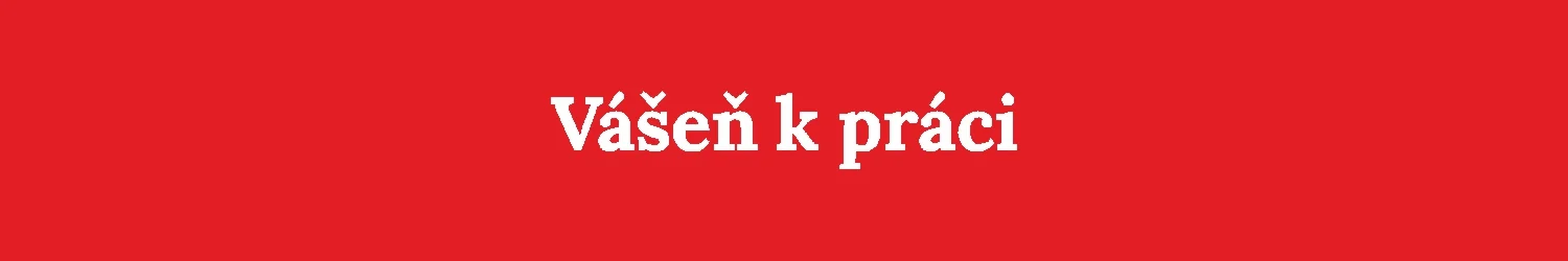 Vášeň k práci