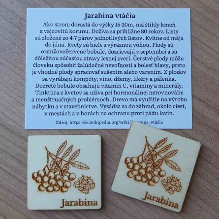 Originálne náučné drevené pexeso s námetom slovenskej prírody gravírované a vyrezávané laserom